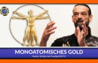 Monoatomisches Gold – Martin Strübin